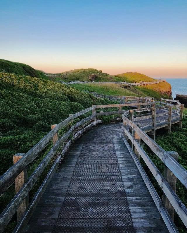 TOUR PHILLIP ISLAND  – KHÁM PHÁ THIÊN NHIÊN HOANG DÃ NƯỚC ÚC