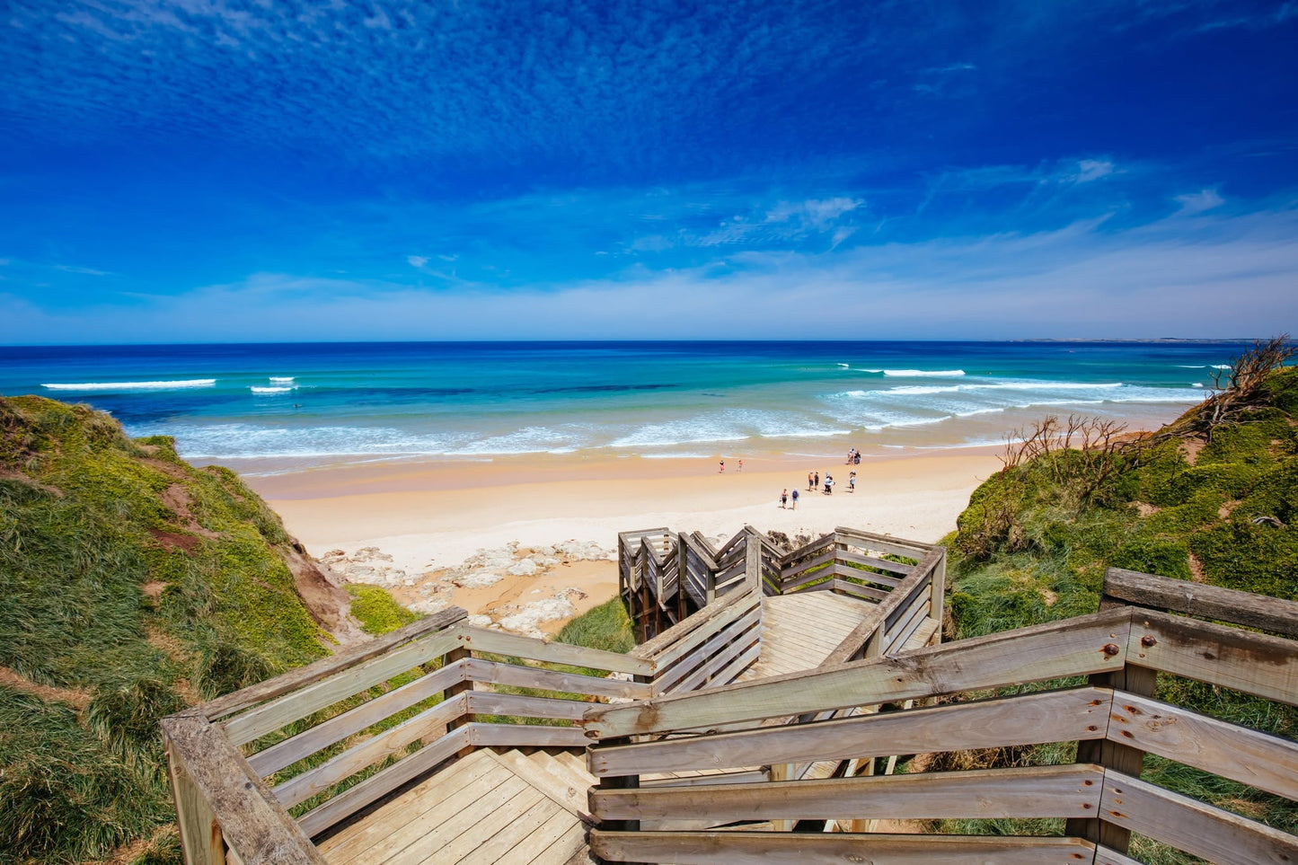 TOUR PHILLIP ISLAND  – KHÁM PHÁ THIÊN NHIÊN HOANG DÃ NƯỚC ÚC