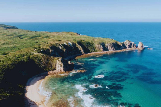 TOUR PHILLIP ISLAND  – KHÁM PHÁ THIÊN NHIÊN HOANG DÃ NƯỚC ÚC
