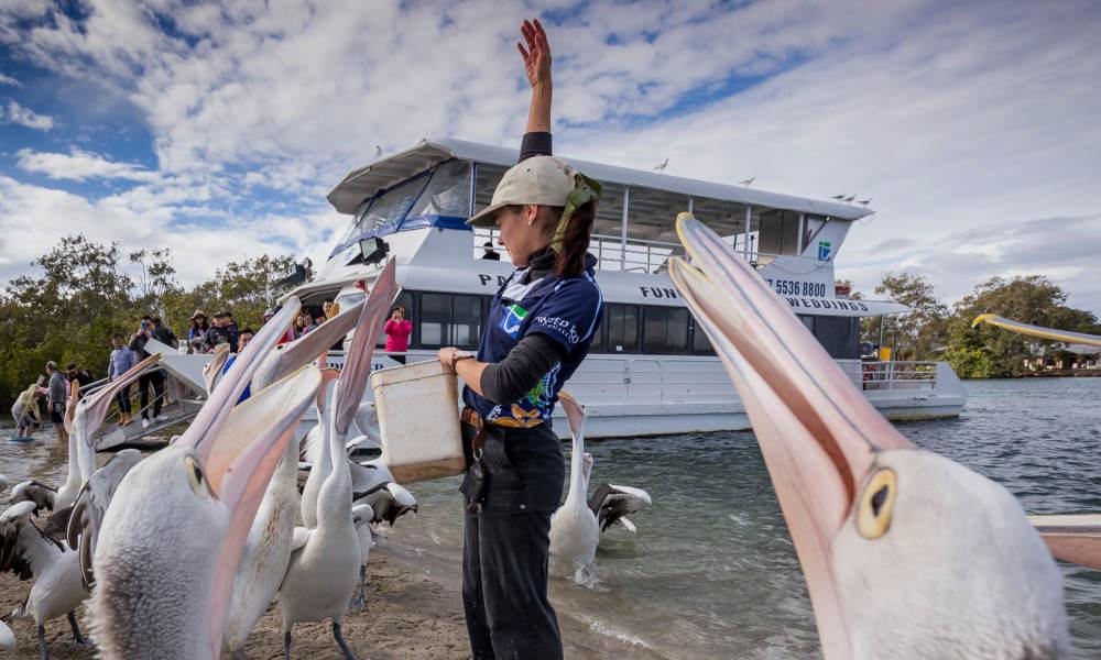 BRISBANE – CRAB CATCHING – GOLD COAST