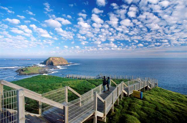 TOUR PHILLIP ISLAND  – KHÁM PHÁ THIÊN NHIÊN HOANG DÃ NƯỚC ÚC