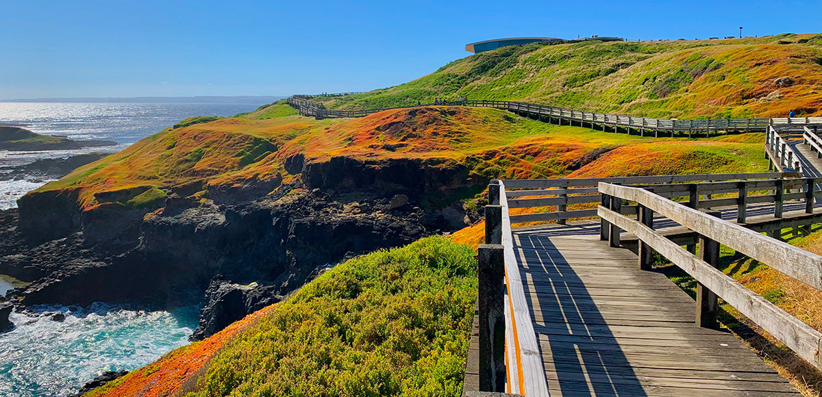 TOUR PHILLIP ISLAND  – KHÁM PHÁ THIÊN NHIÊN HOANG DÃ NƯỚC ÚC