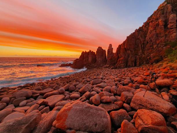 TOUR PHILLIP ISLAND  – KHÁM PHÁ THIÊN NHIÊN HOANG DÃ NƯỚC ÚC