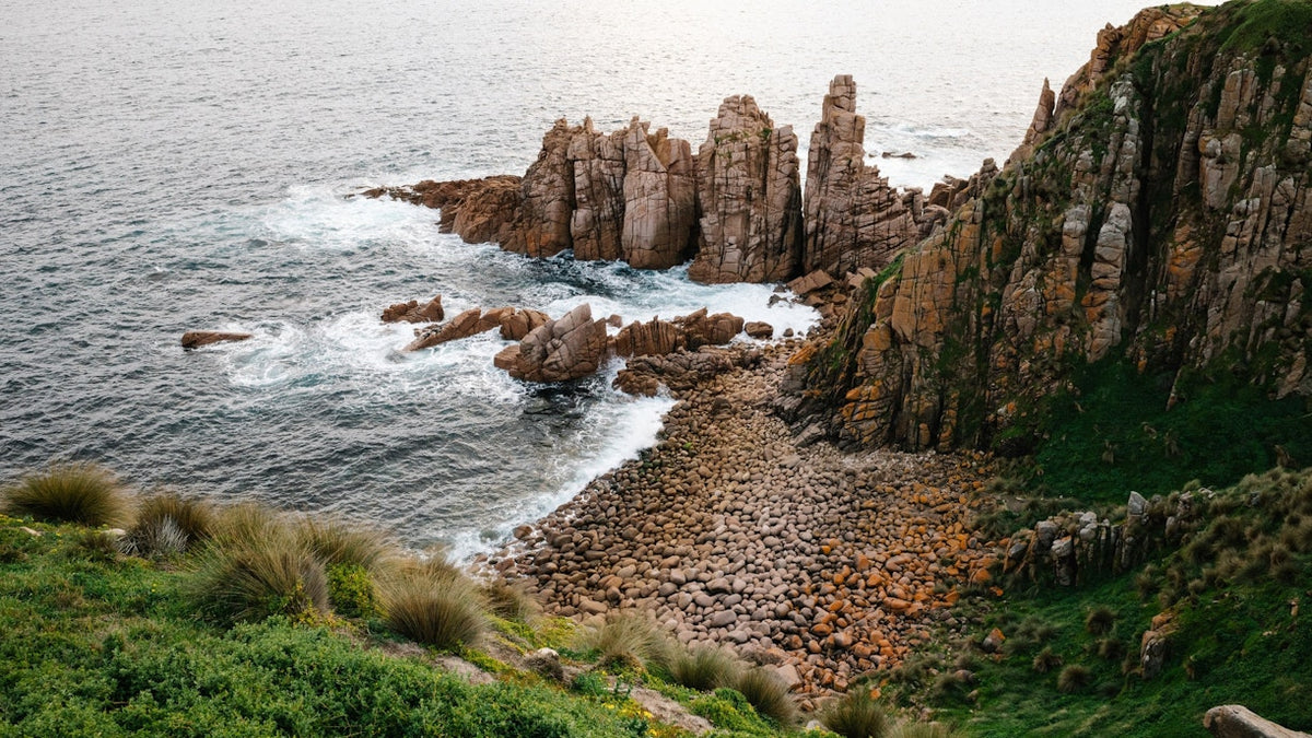 TOUR PHILLIP ISLAND  – KHÁM PHÁ THIÊN NHIÊN HOANG DÃ NƯỚC ÚC