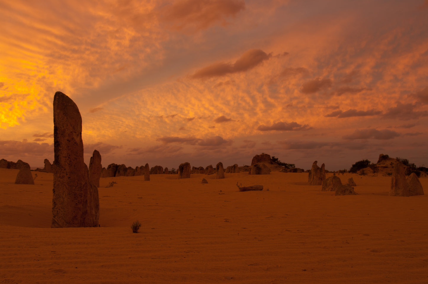 TOUR PERTH – TÂY ÚC 5 NGÀY 4 ĐÊM