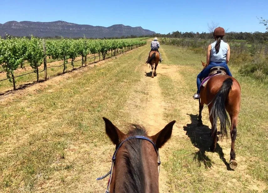 TOUR ĐỒNG QUÊ HUNTER VALLEY