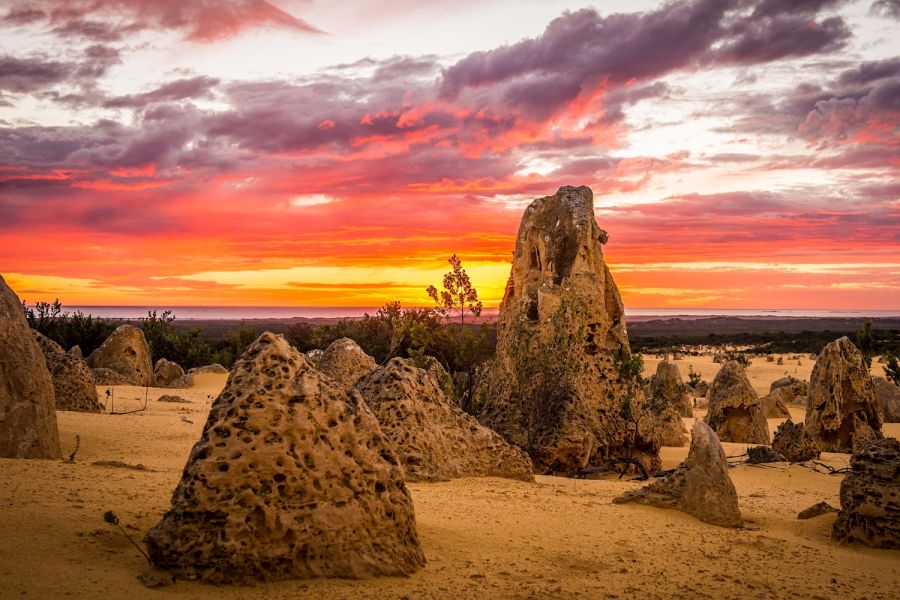 TOUR PERTH – TÂY ÚC 5 NGÀY 4 ĐÊM