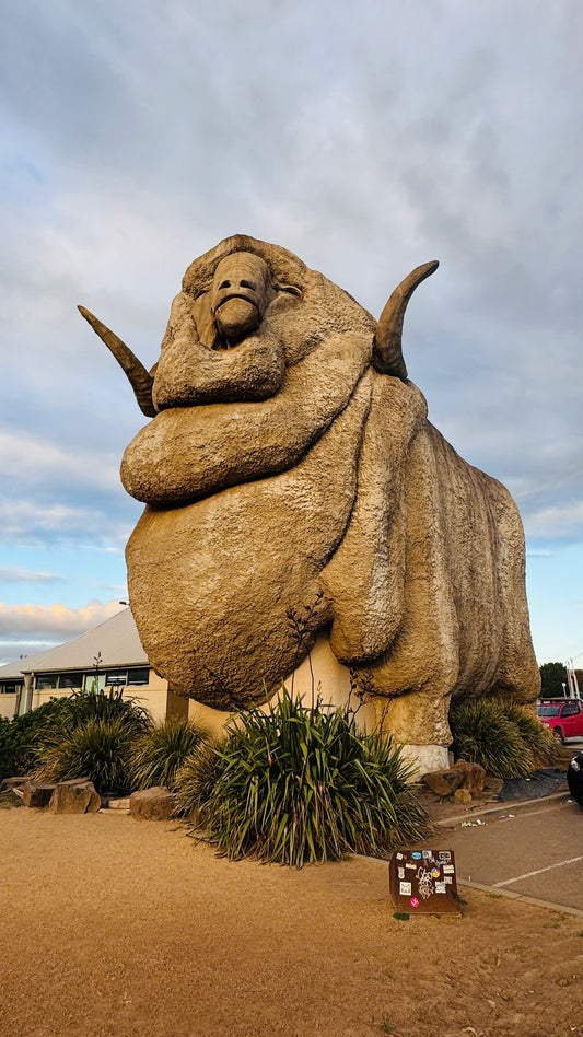 TOUR MELBOURN - CANBERRA - SYDNEY