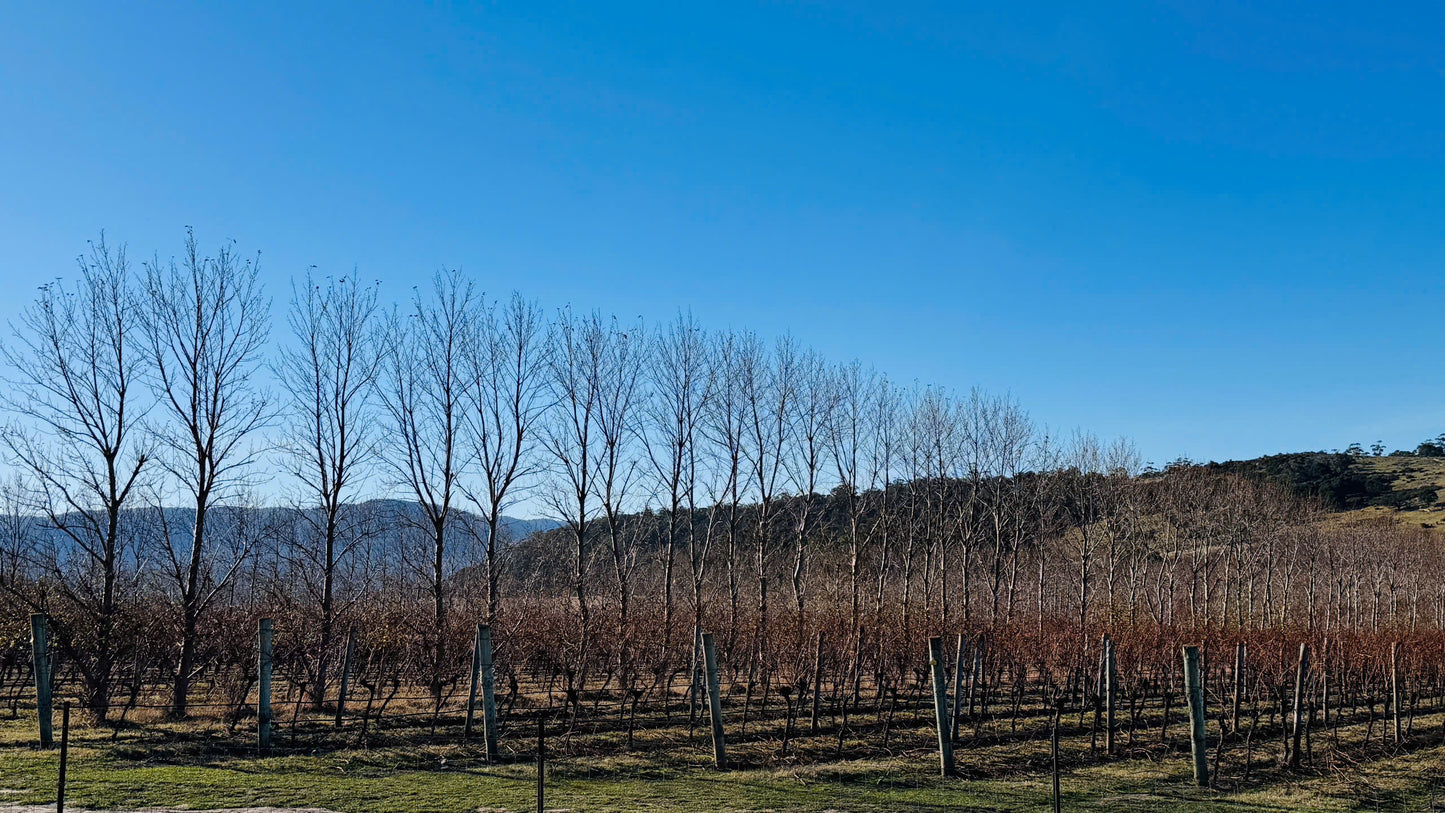 TOUR TASMANIA BẰNG MOBIHOME