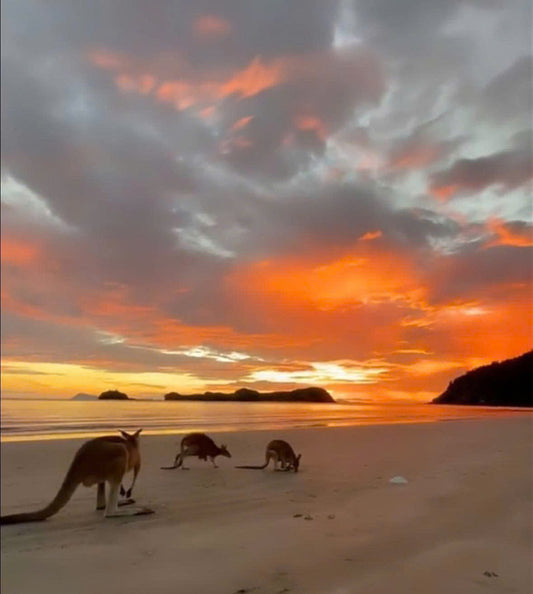 TOUR TASMANIA - TOUR 3 NGÀY 2 ĐÊM