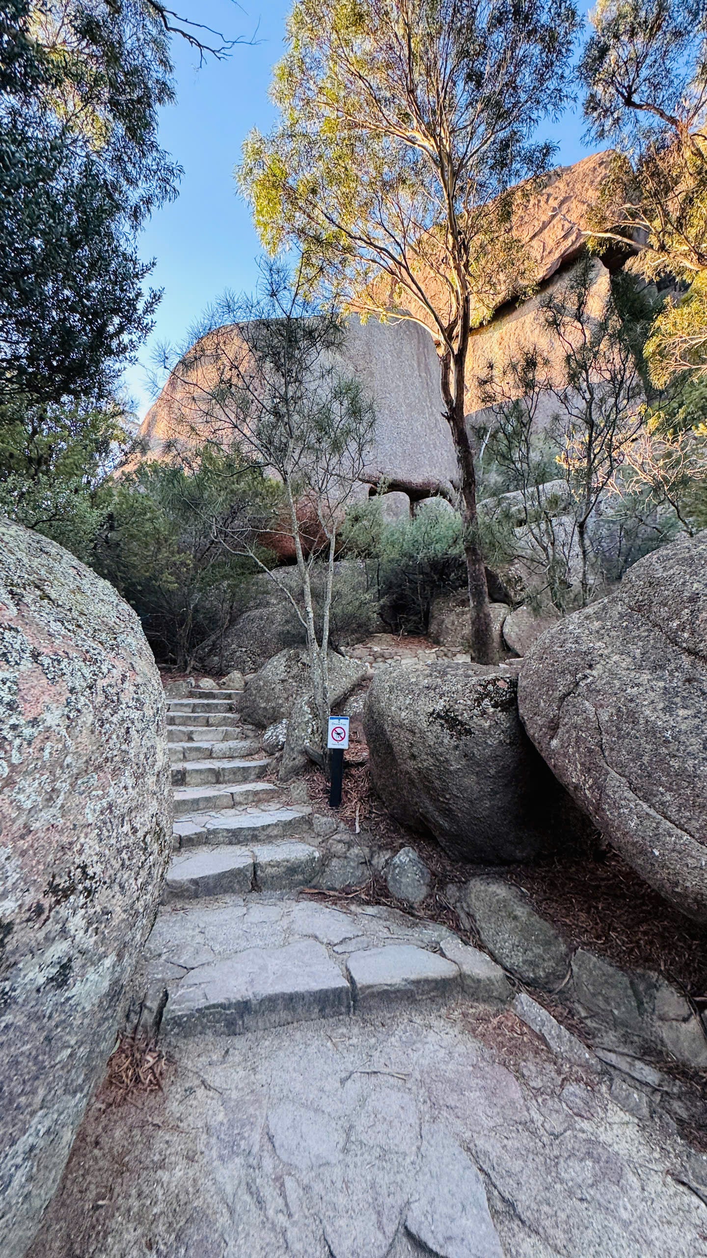 TOUR TASMANIA - TOUR 3 NGÀY 2 ĐÊM