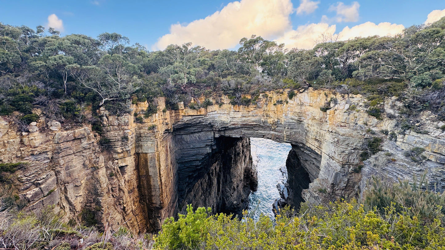 TOUR TASMANIA BẰNG MOBIHOME