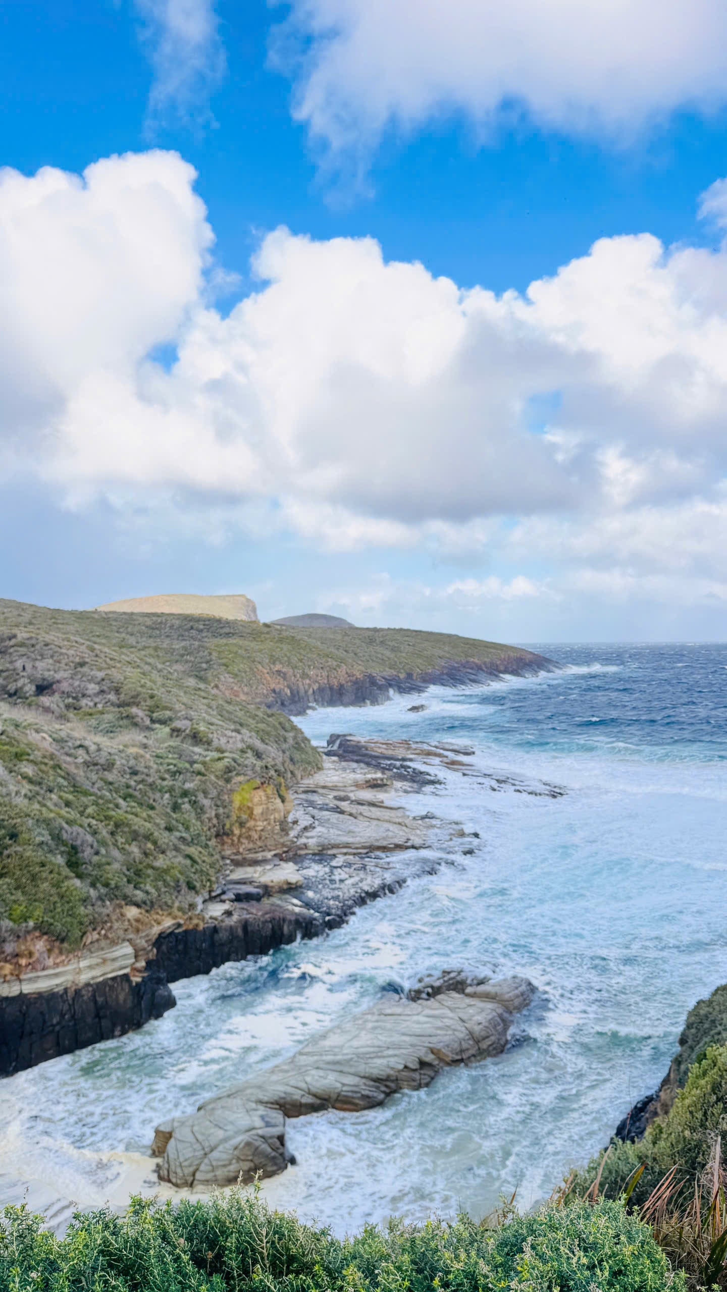 TOUR TASMANIA - TOUR 3 NGÀY 2 ĐÊM