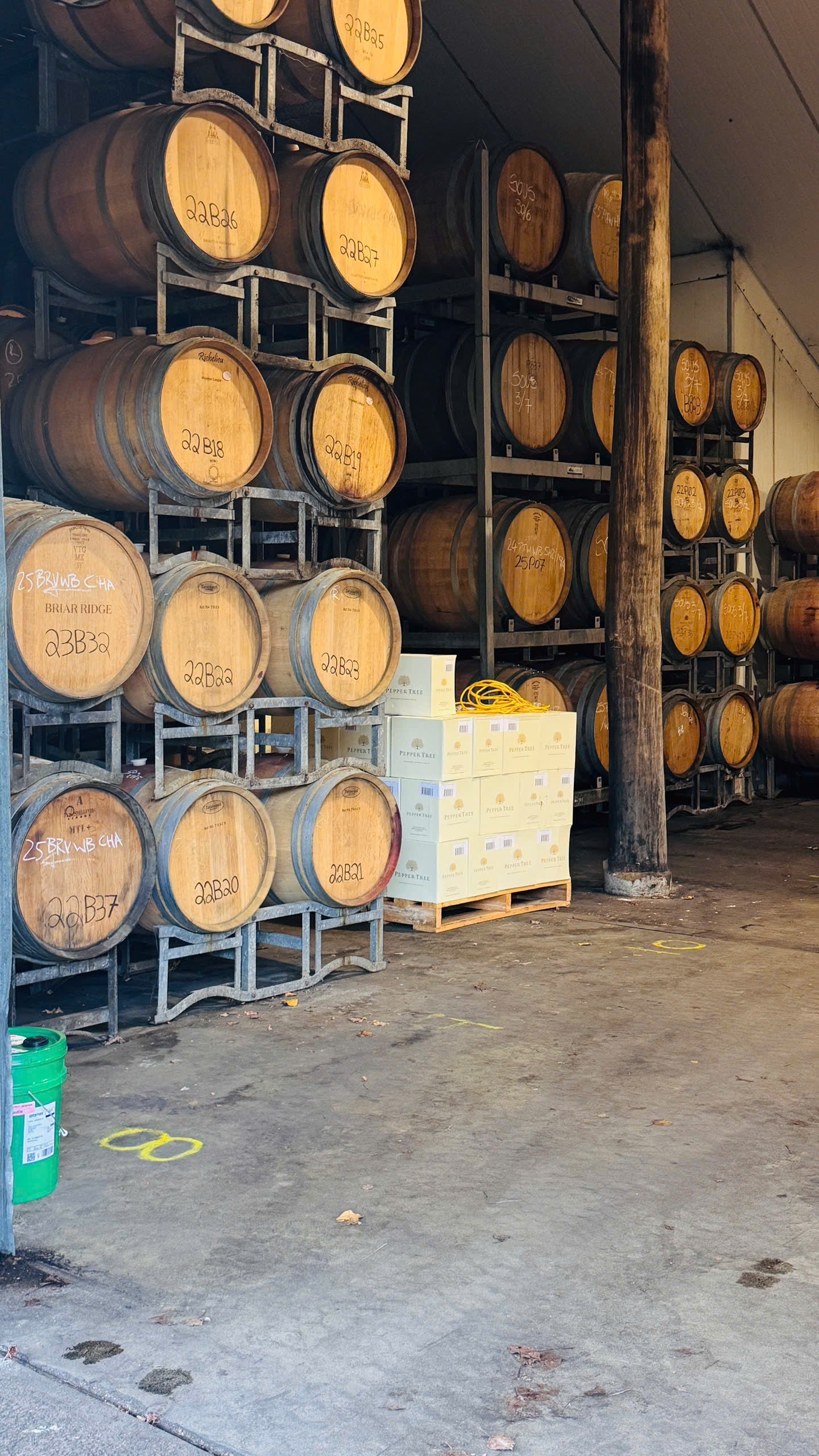 TOUR ĐỒNG QUÊ HUNTER VALLEY