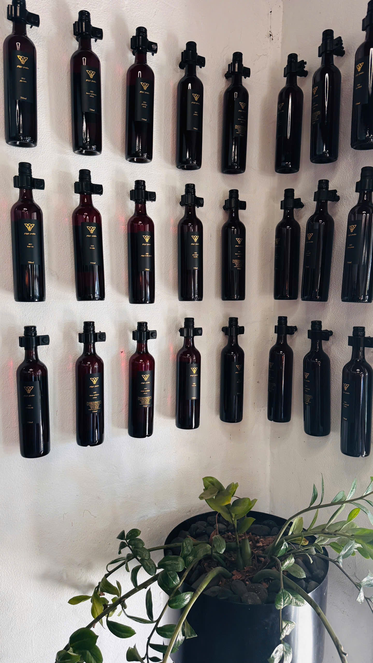 TOUR ĐỒNG QUÊ HUNTER VALLEY