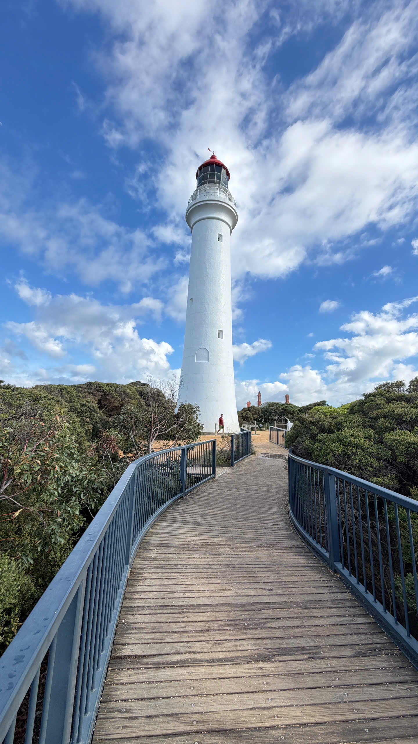 TOUR GREAT OCEAN ROAD