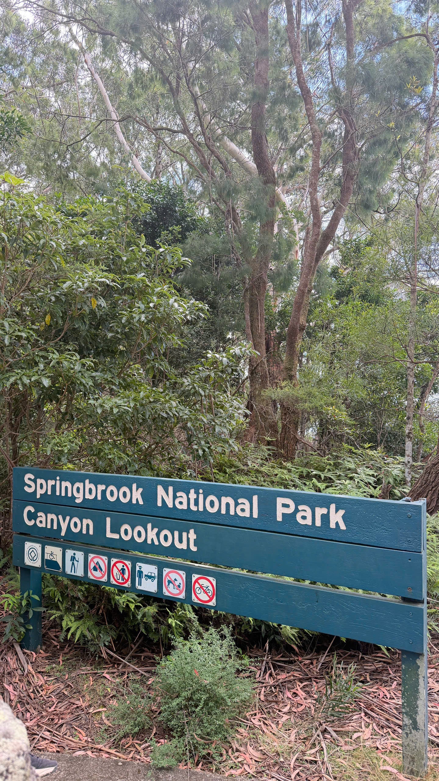 BRISBANE 1 NGÀY – KHÁM PHÁ RỪNG NÚI THIÊN NHIÊN